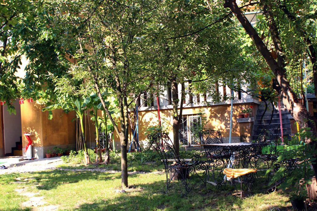 Hostel Costel Тимишоара Экстерьер фото